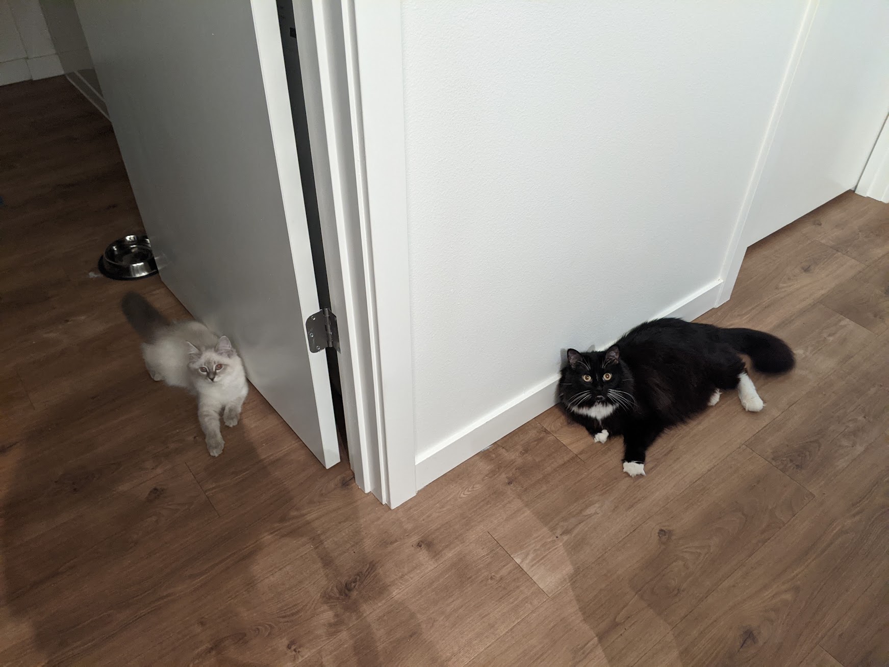 They often mirror each other, this was one of the first times